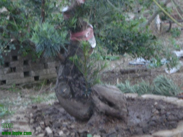 DSC01644.JPG