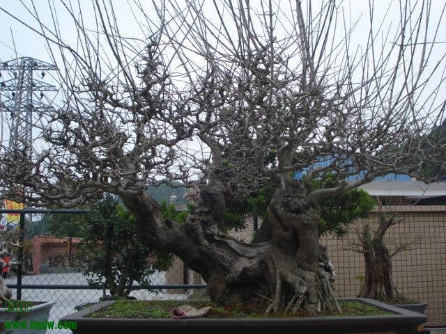 DSC01612.JPG