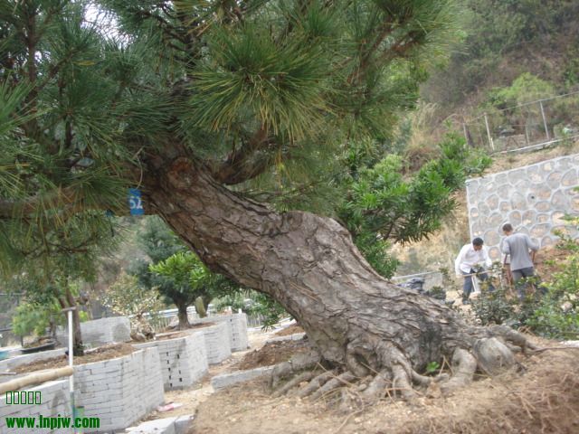 DSC01622.JPG