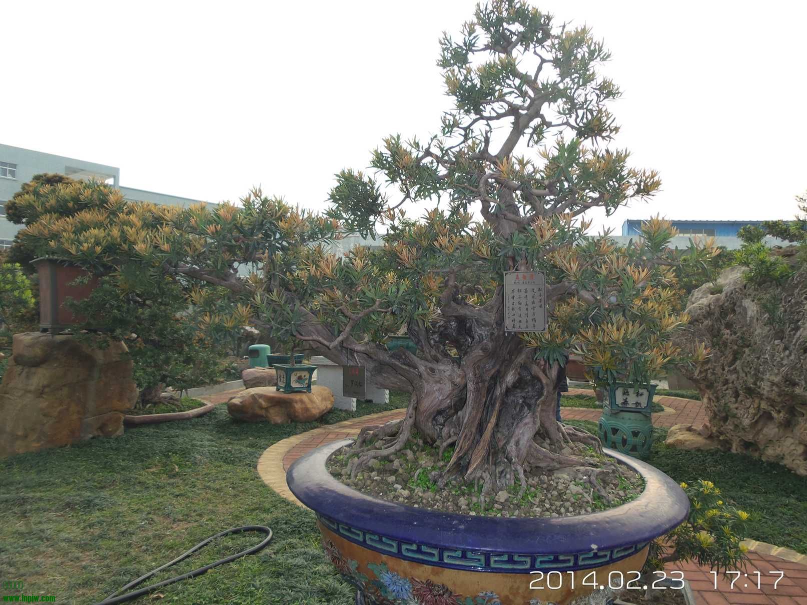 20140223_171705.jpg
