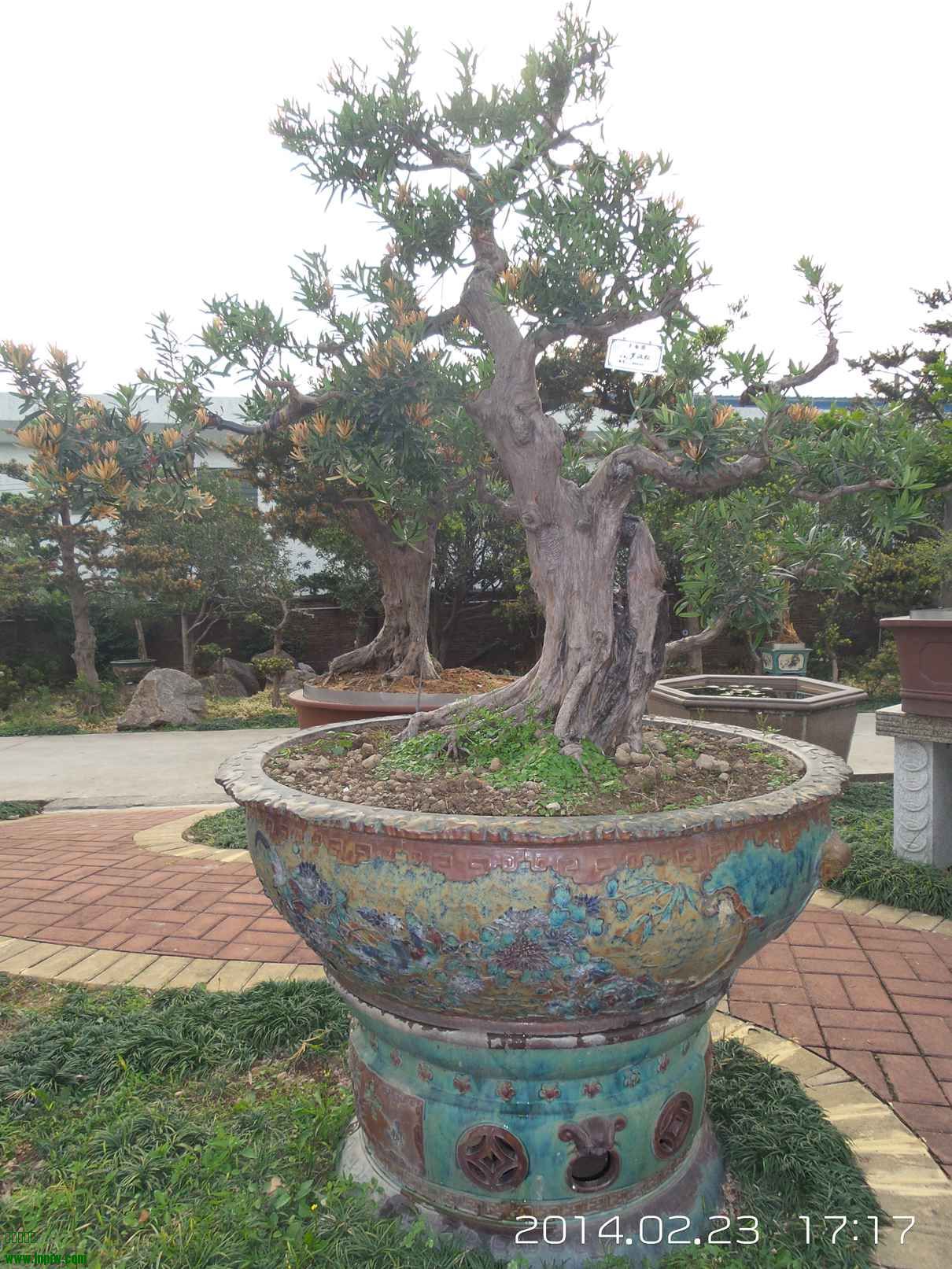 20140223_171755.jpg