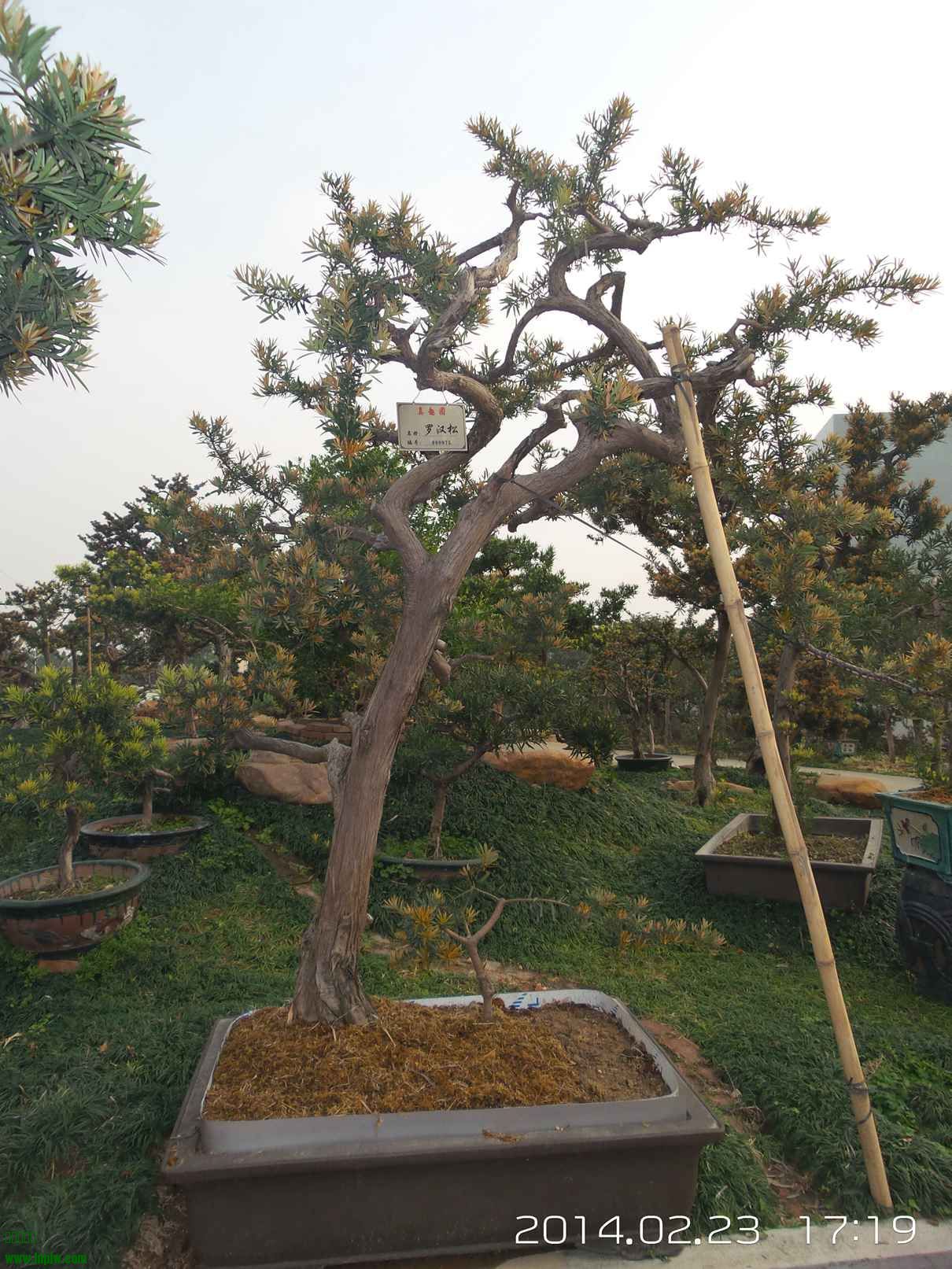 20140223_171951.jpg