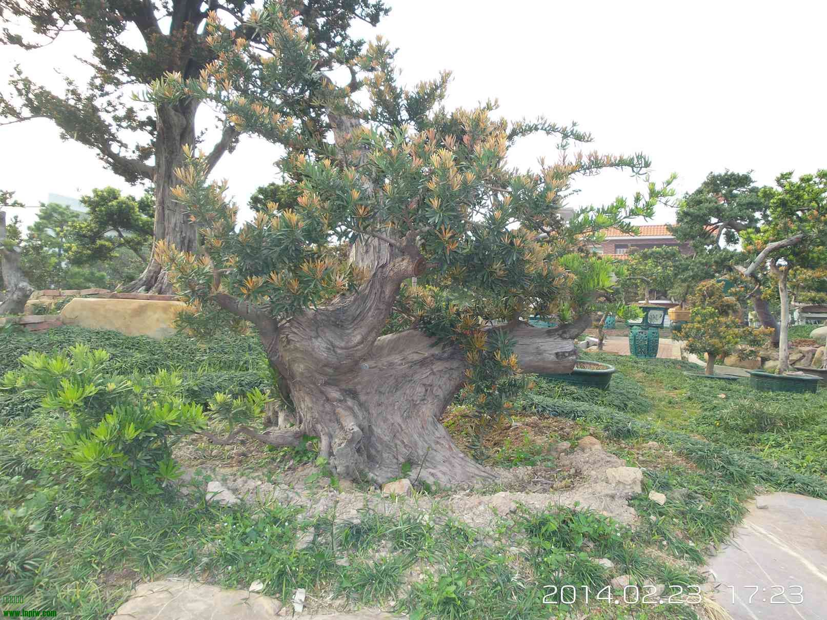 20140223_172316.jpg