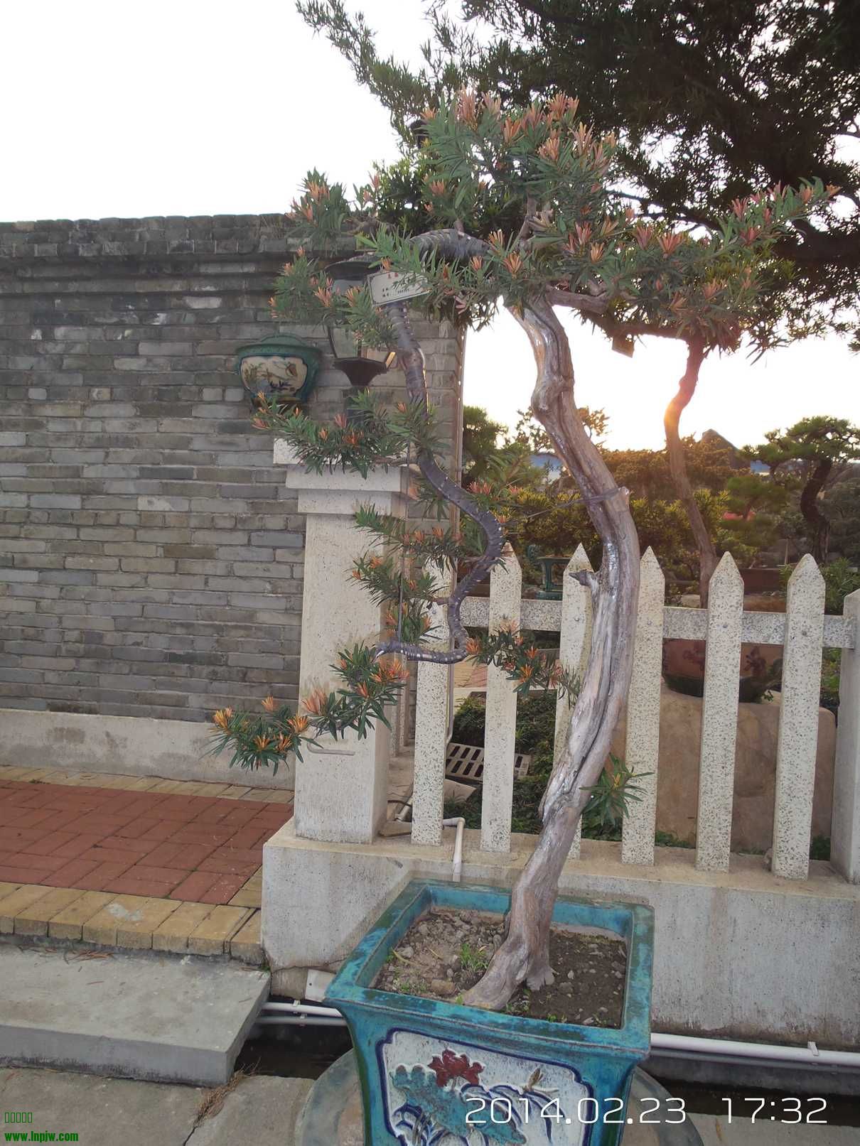 20140223_173235.jpg