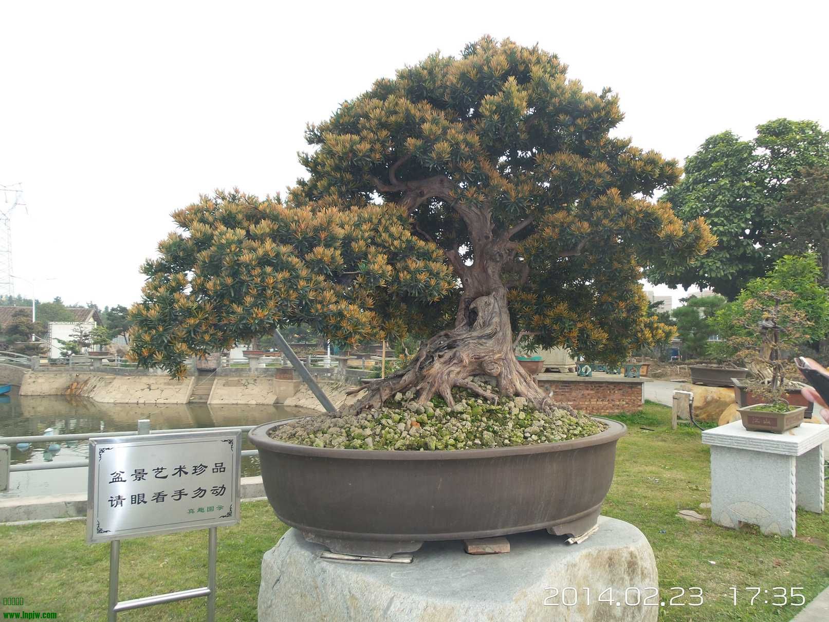 20140223_173514.jpg