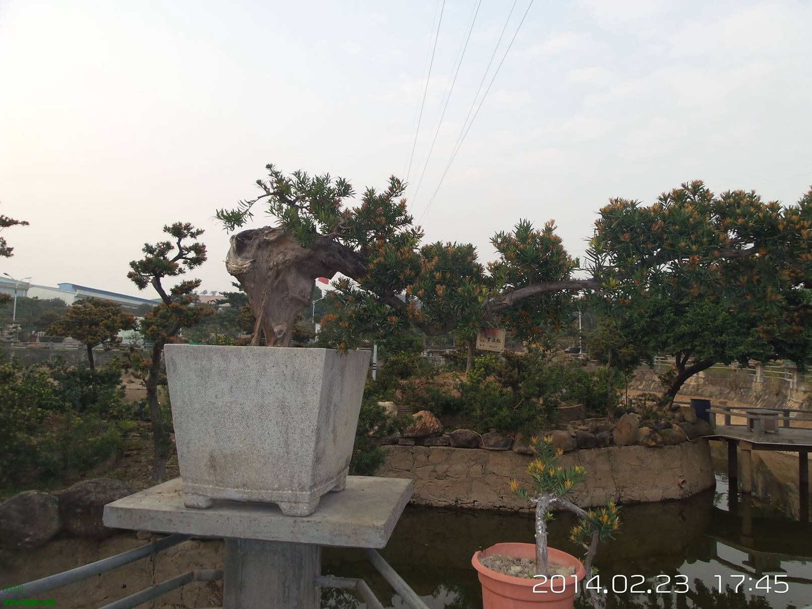 20140223_174515.jpg