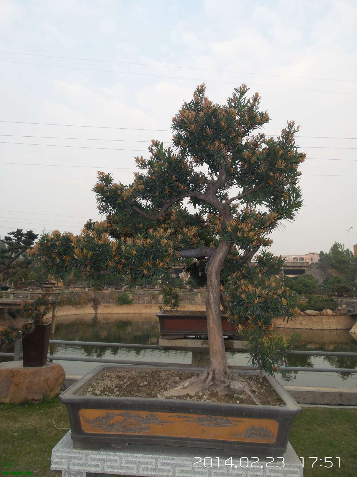 20140223_175130.jpg