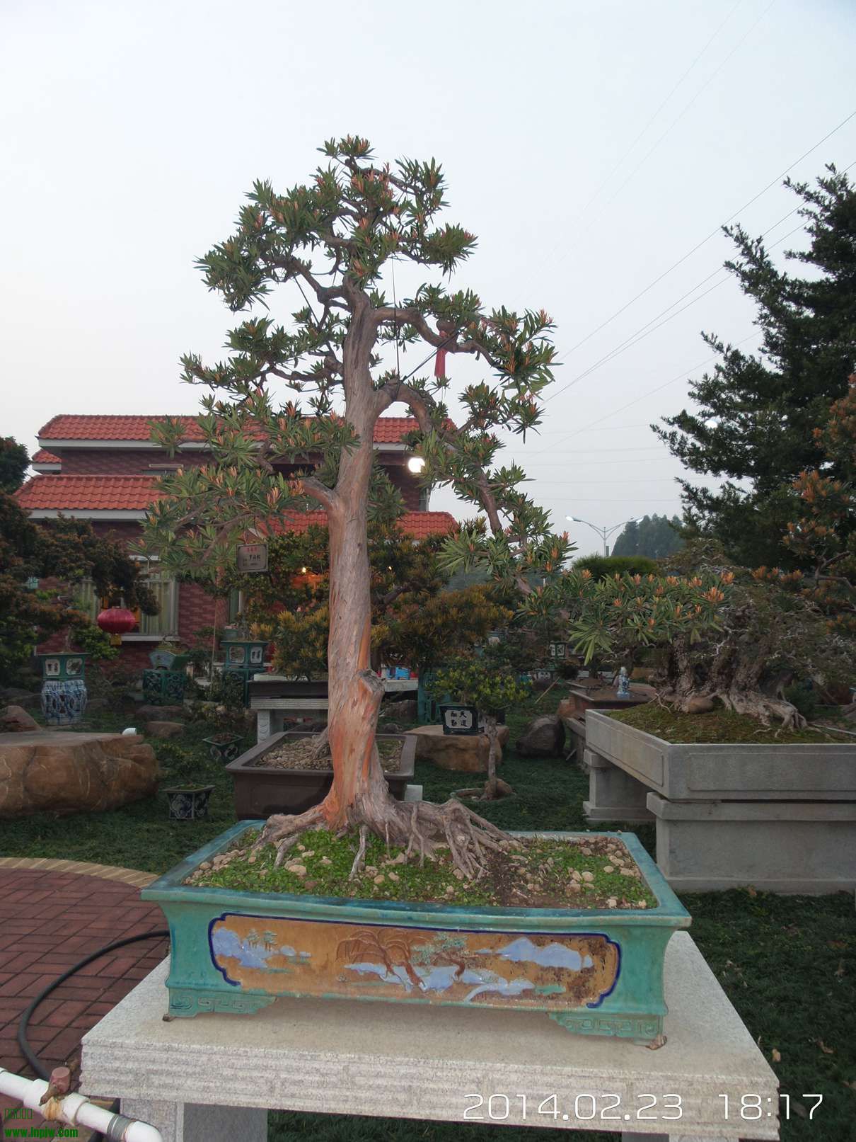 20140223_181702.jpg