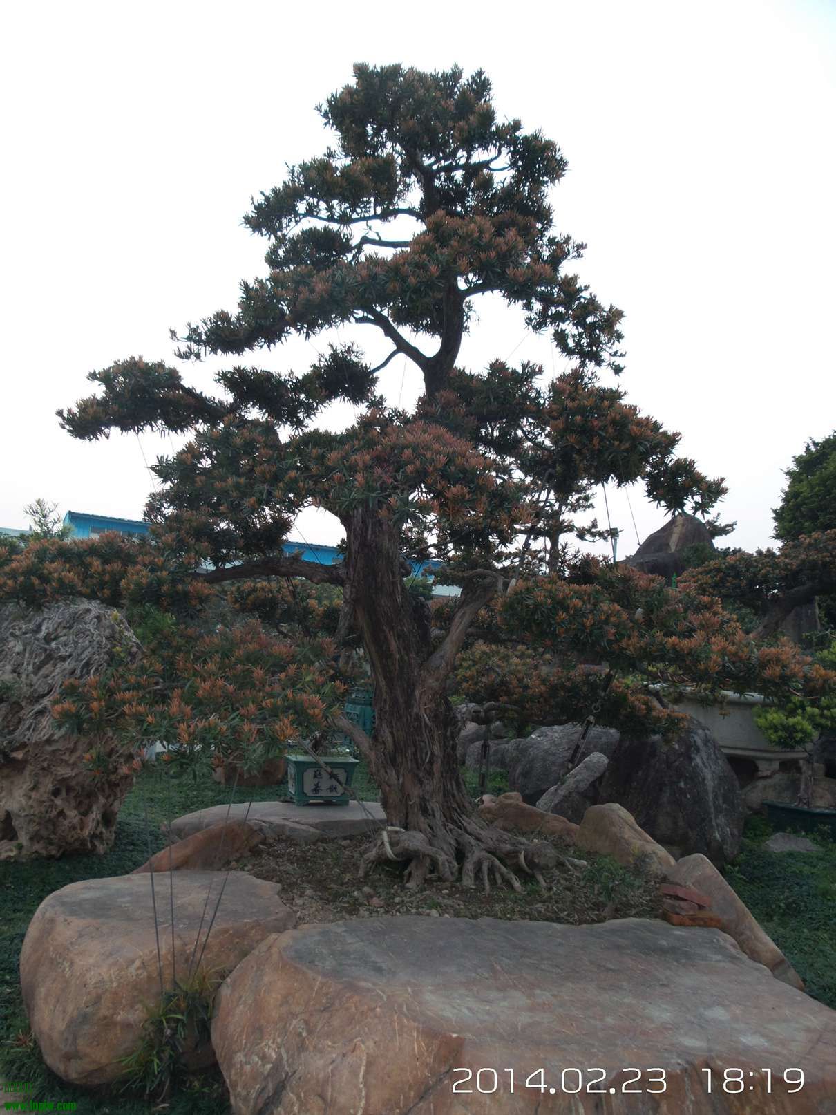 20140223_181948.jpg