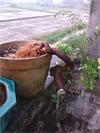 IMG_20140401_080535.jpg