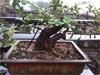 IMG_20140401_080514.jpg