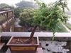 IMG_20140401_080403.jpg