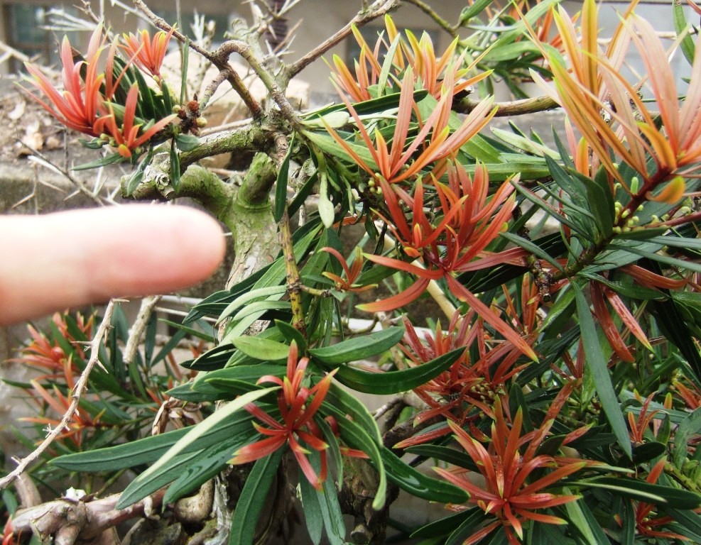 DSCF5454.JPG