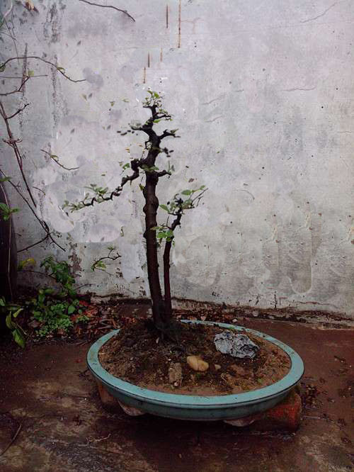 222841.jpg
