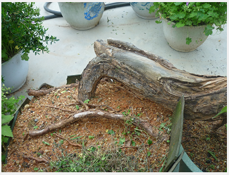QQͼ20140406180134.png