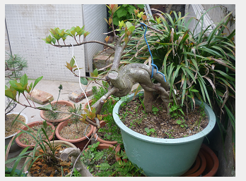 QQͼ20140406181035.png