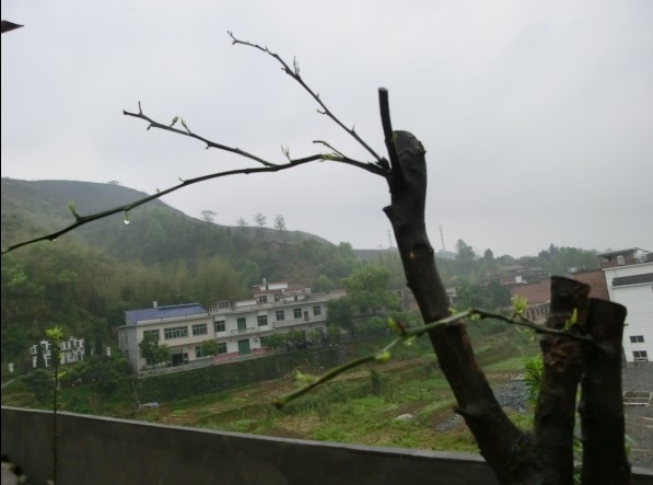 j3.jpg