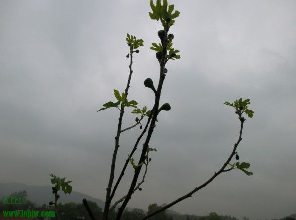 w2.jpg