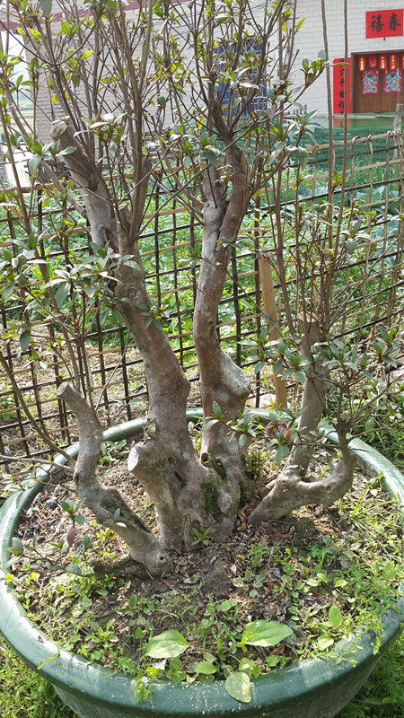 20140223_153343_.jpg