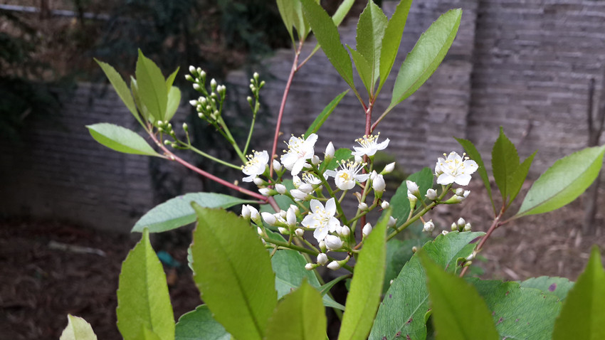 20140228_161220_.jpg