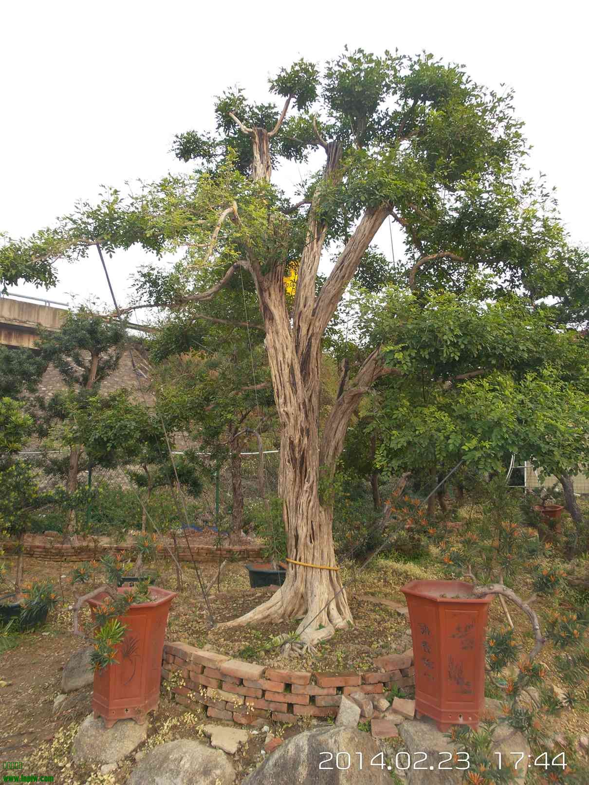 20140223_174406.jpg