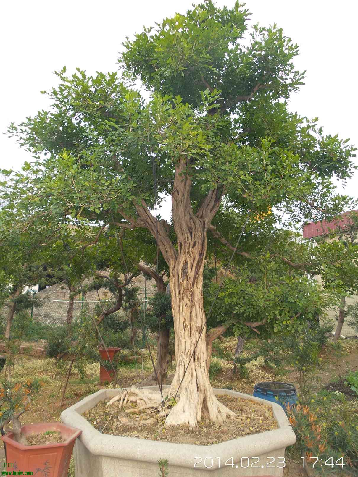 20140223_174425.jpg