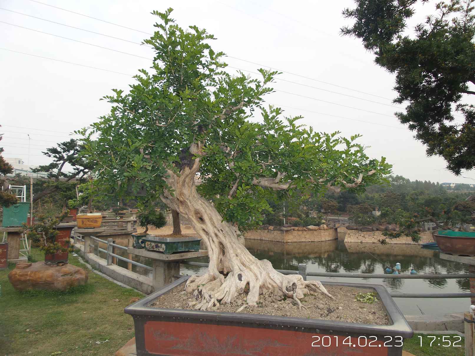20140223_175236.jpg