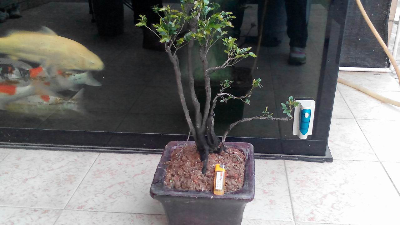 С IMG_20140405_183456_1.jpg