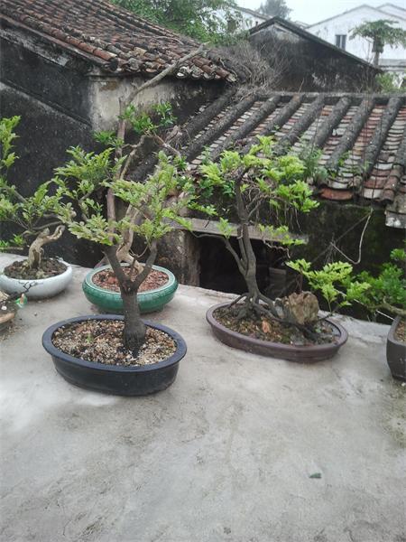 2014-04-07 17.32.13.jpg