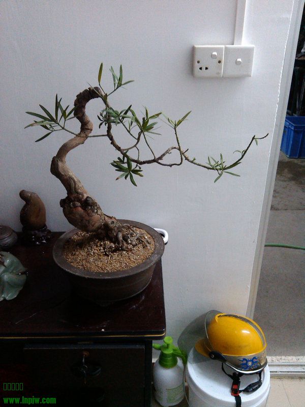 IMG_20140308_012500.jpg