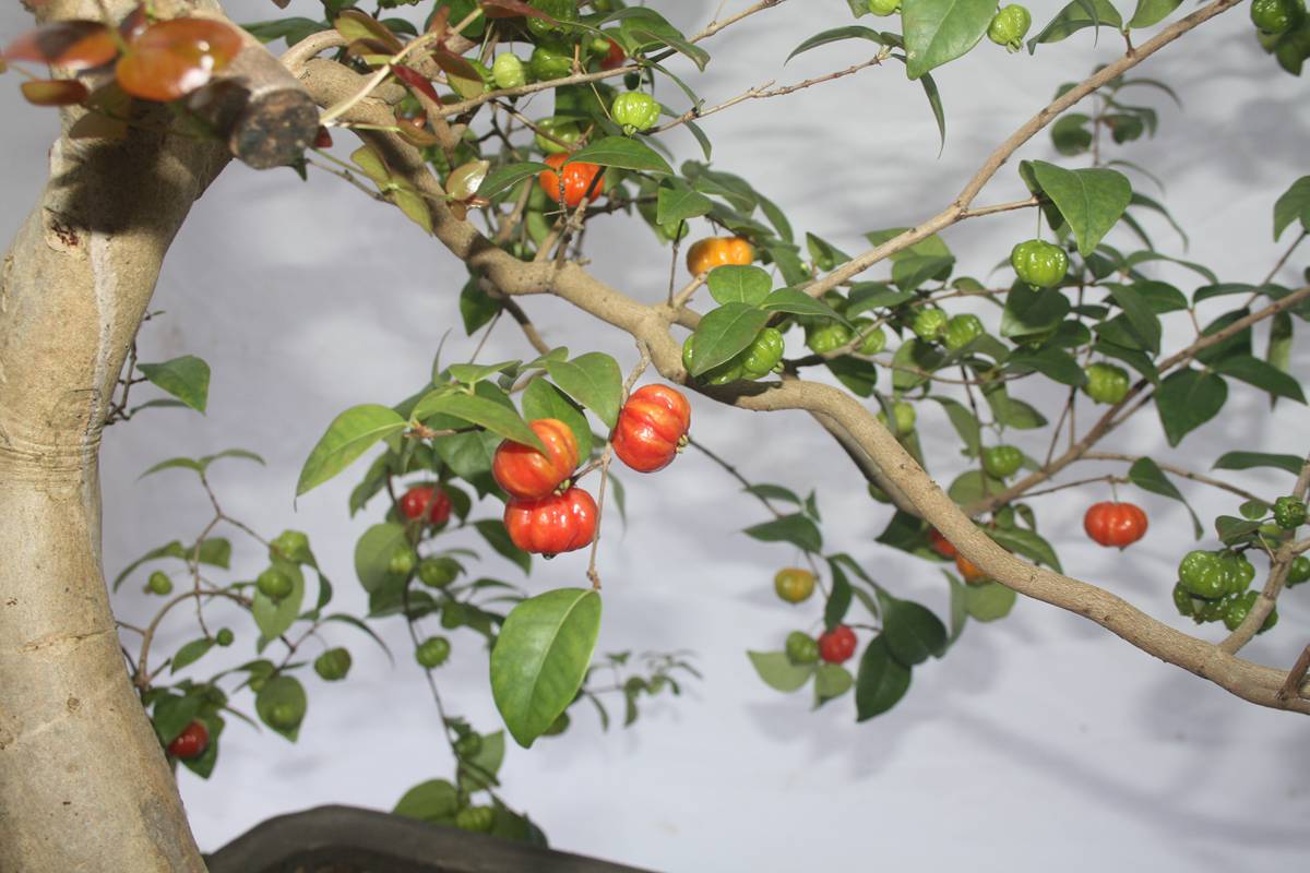Ƭ20131026ۺ 1105.jpg