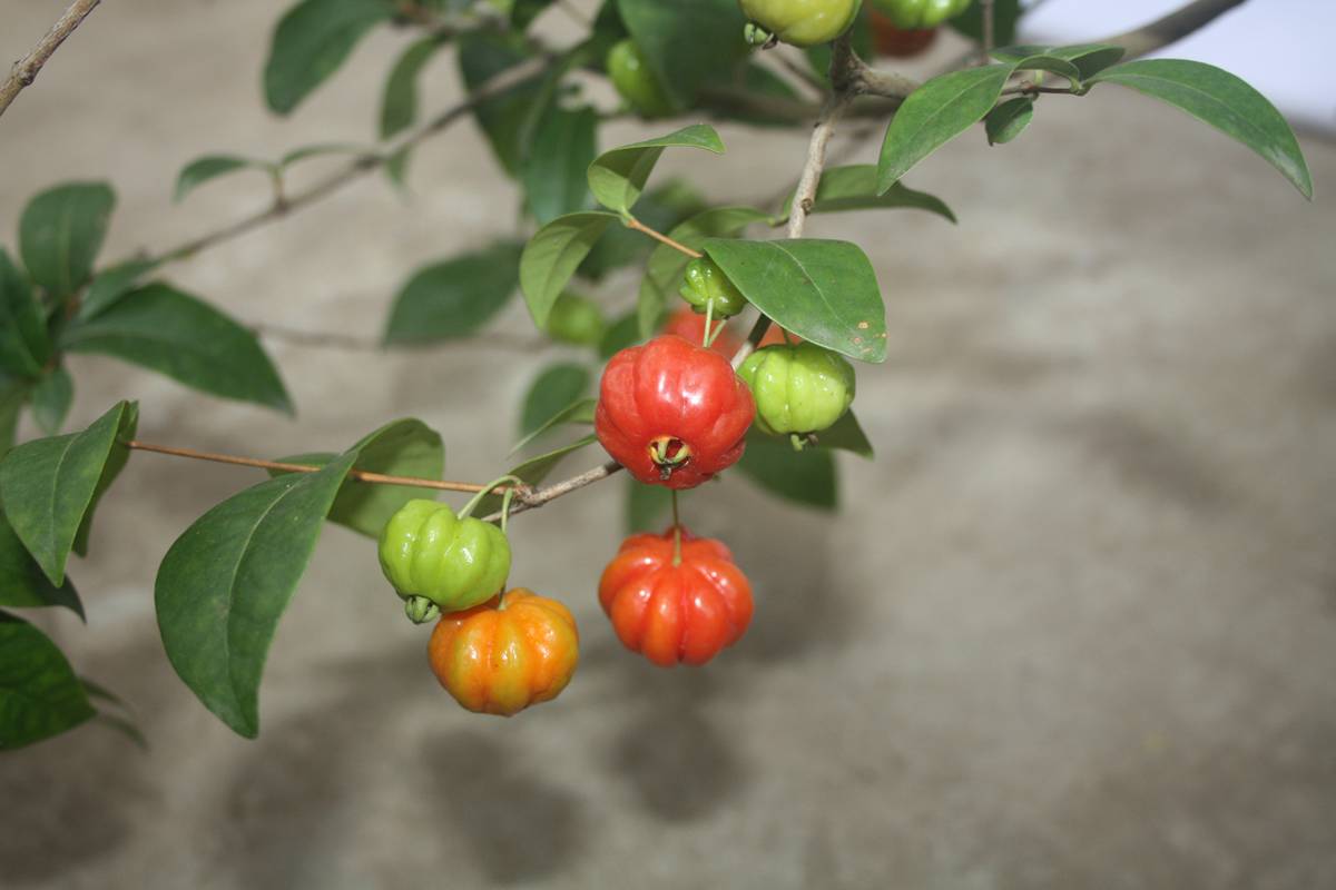 Ƭ20131026ۺ 1108.jpg