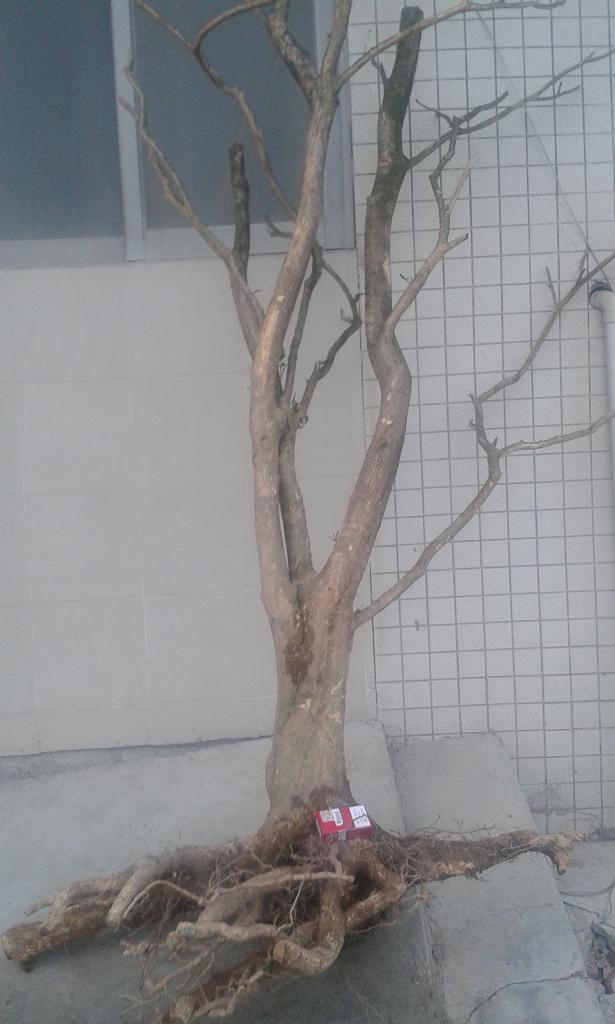 20140407_173606.jpg