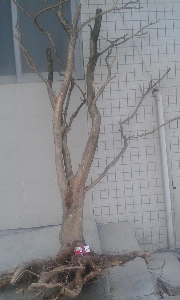 20140407_173612.jpg