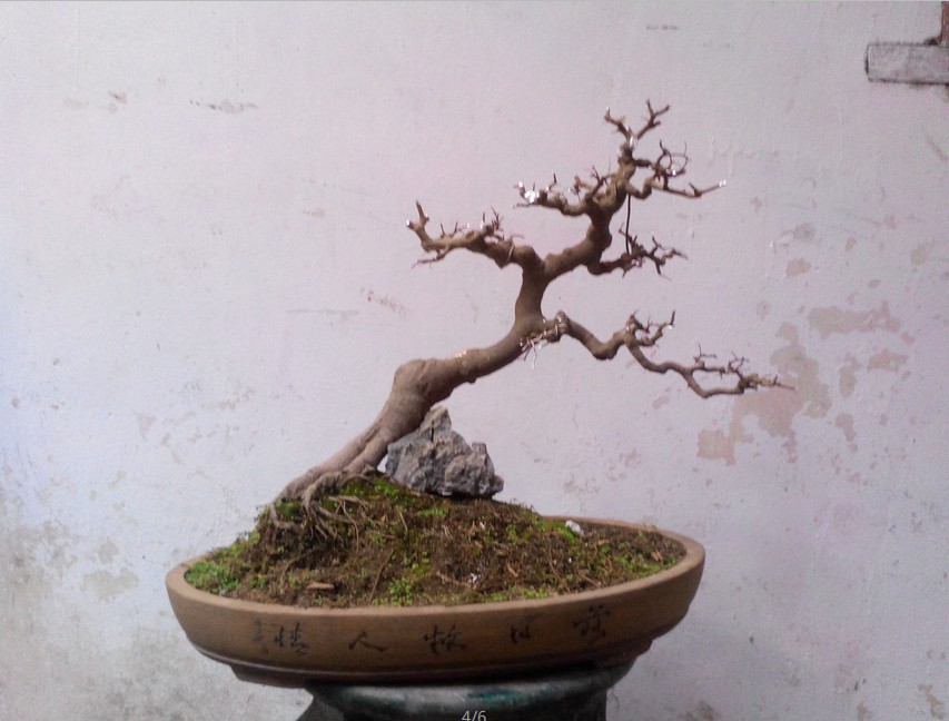 QQͼƬ20140410002026.jpg
