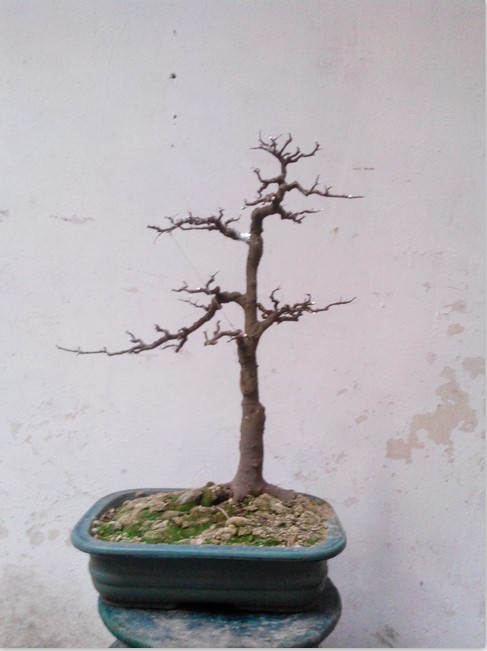QQͼƬ20140410002032.jpg