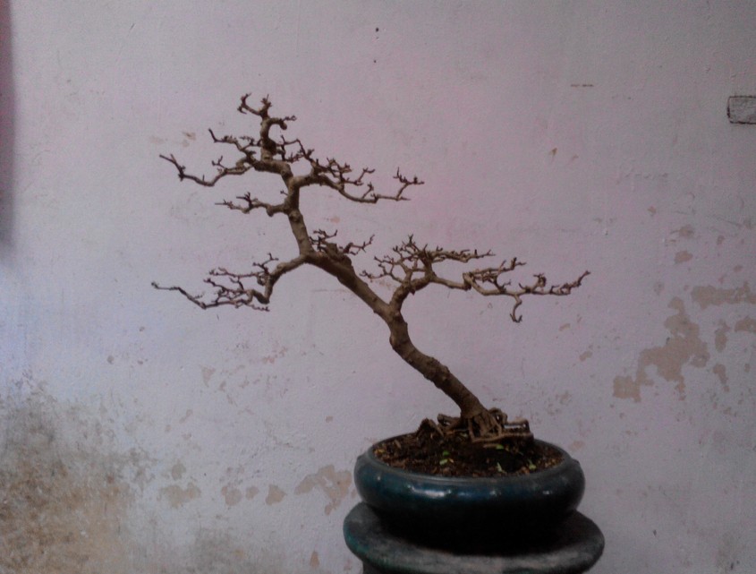QQͼƬ20140410002038.jpg