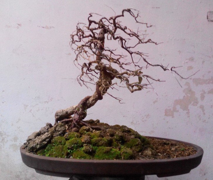 QQͼƬ20140410002534.jpg