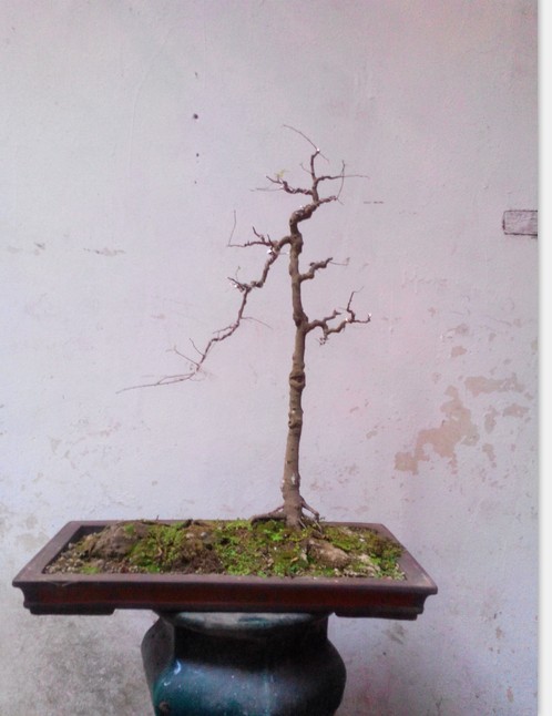 QQͼƬ20140410003824.jpg