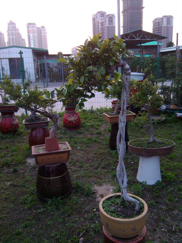 IMG_20140410_181705.jpg