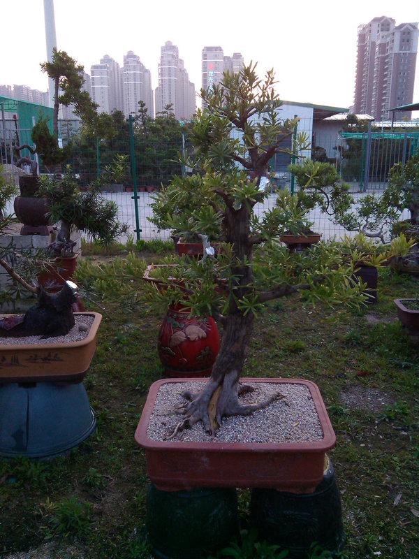 IMG_20140410_181736.jpg