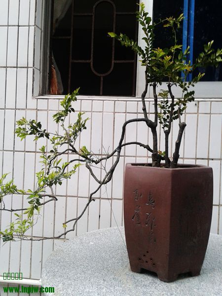 20140411_074242(1).jpg