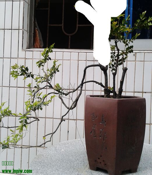 20140411_074242.jpg