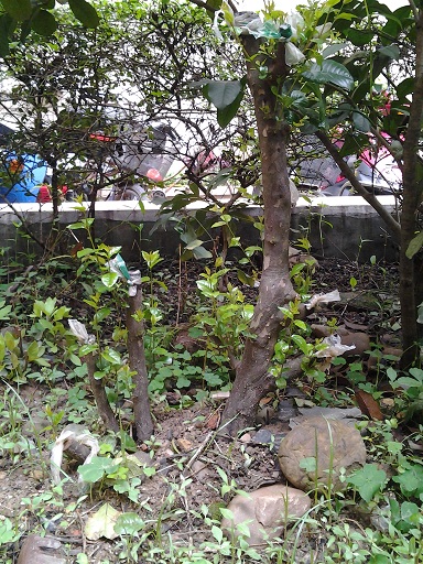 20140409_111425.jpg