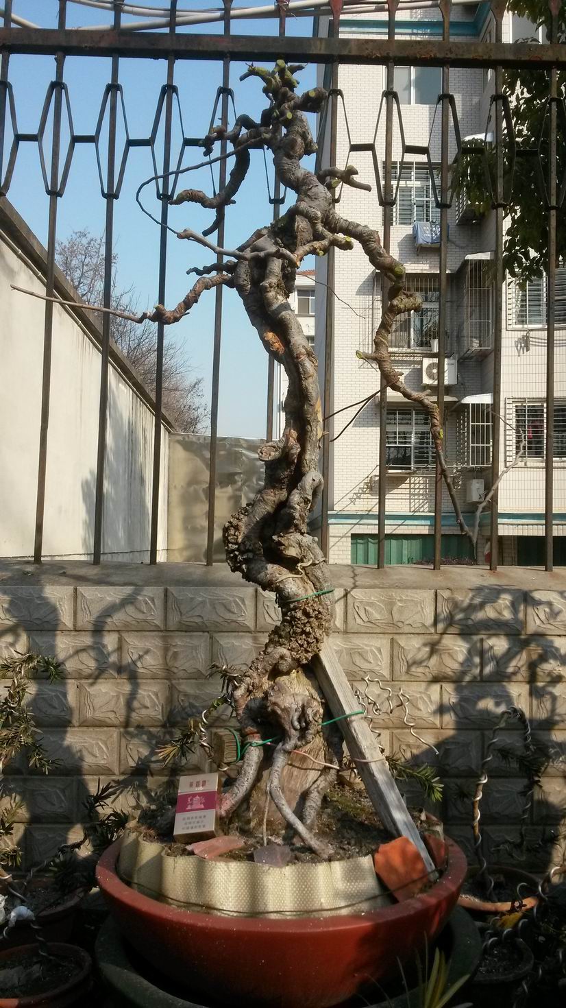 С 20140123_102911.jpg