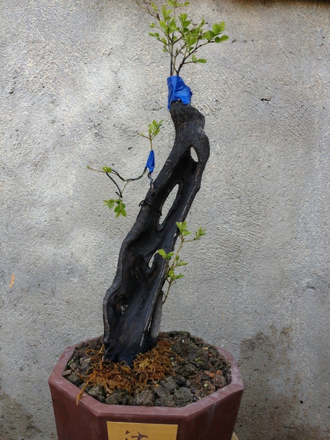QQͼƬ20140113213744.jpg