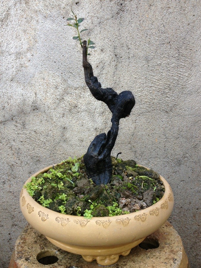 QQͼƬ20140113213739.jpg