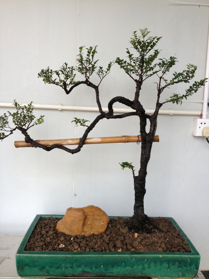 QQͼƬ20130927001037.jpg