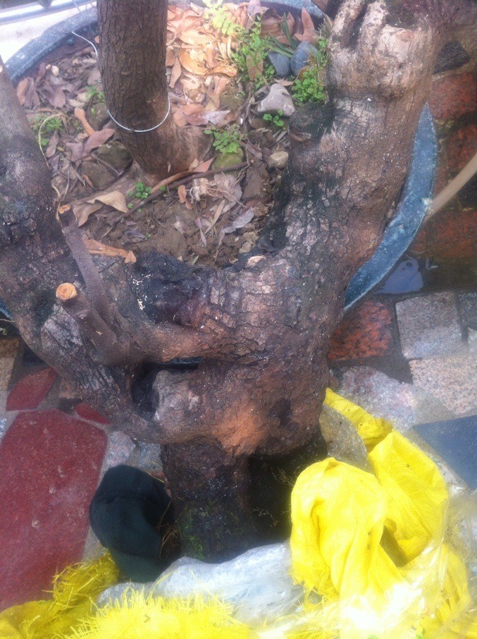 QQͼƬ20140411225548.jpg