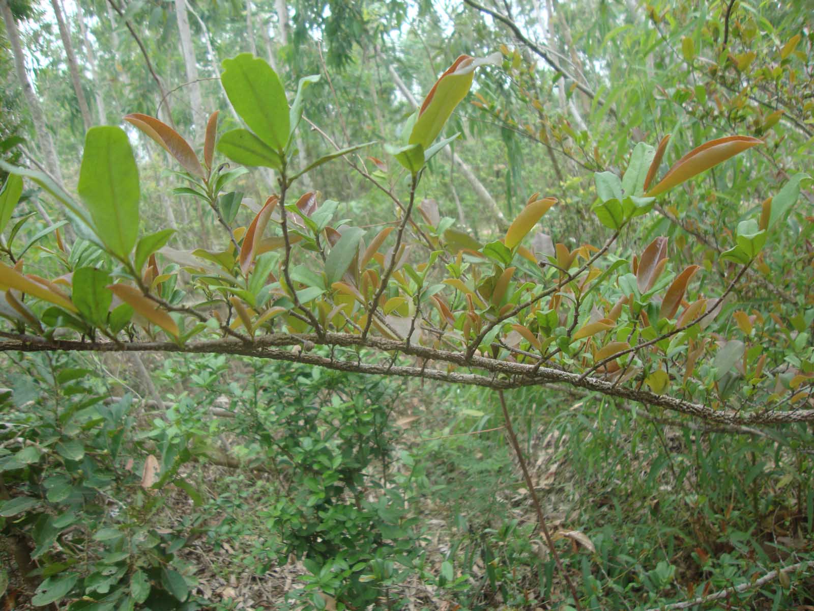 ڶ2.jpg
